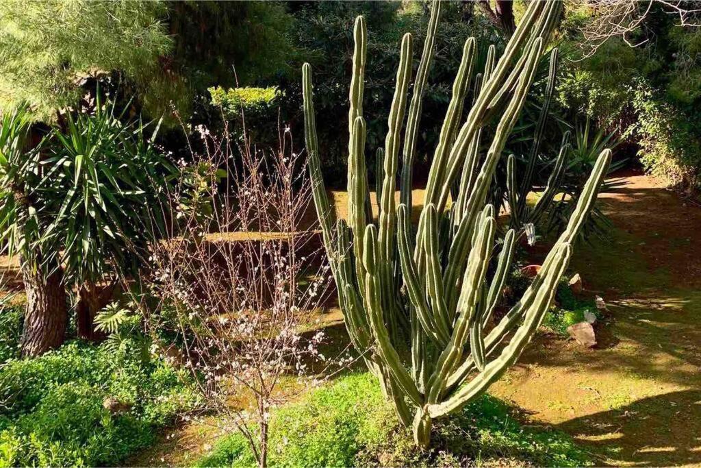 Athens Riviera Garden Views Apartment #Unoblu Εξωτερικό φωτογραφία